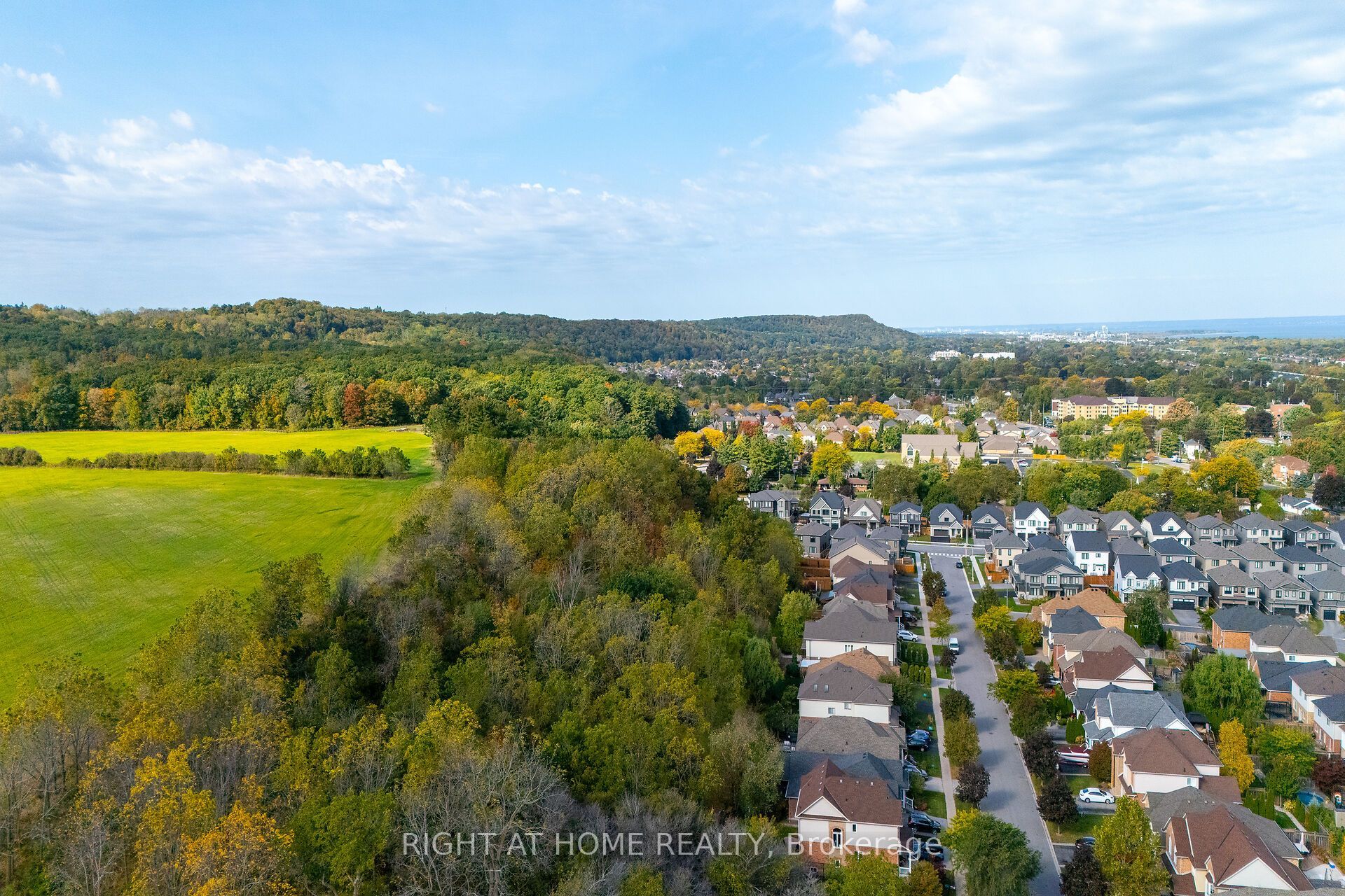 54 Vinifera Drive Property Photo 44