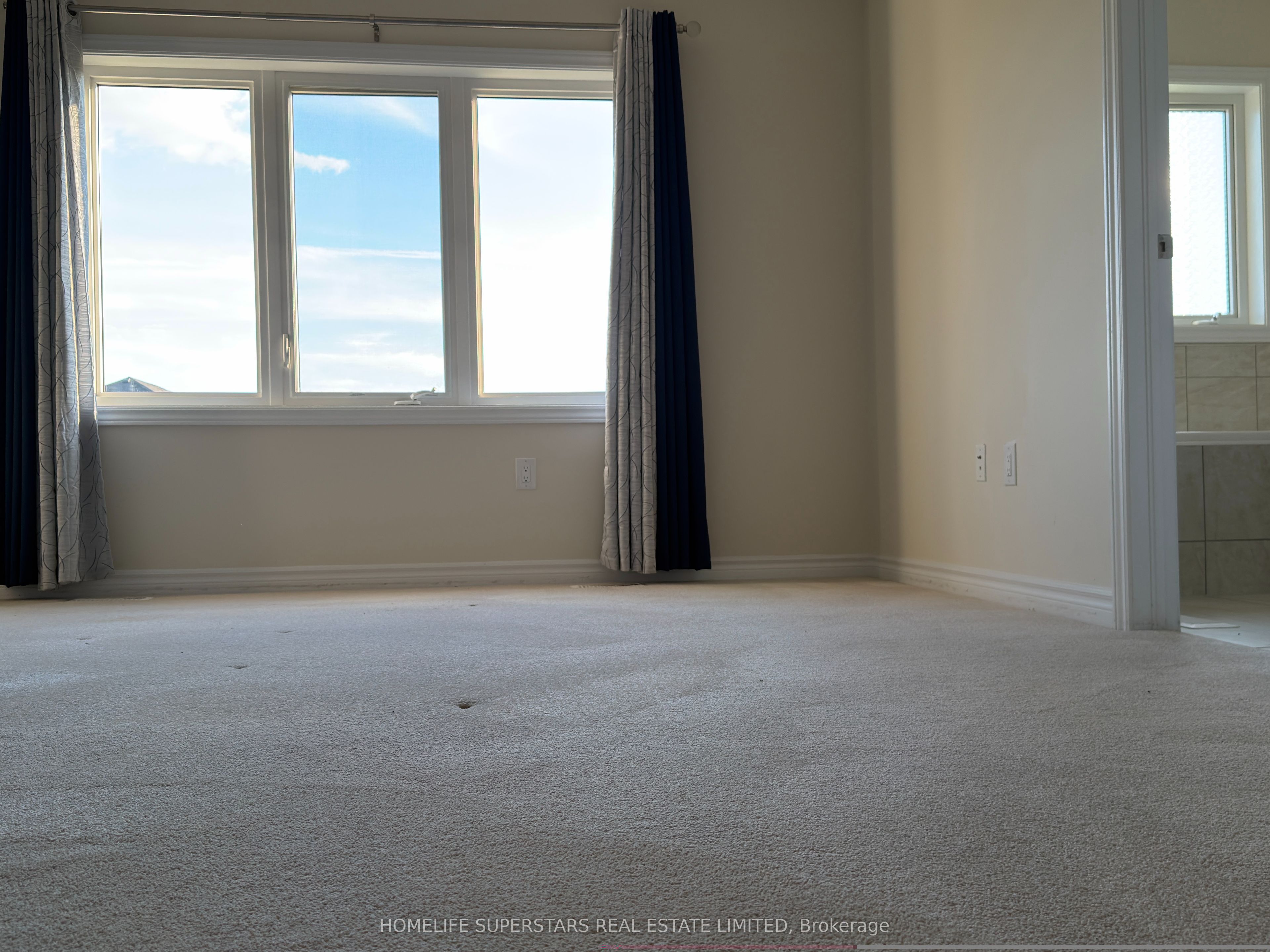349 Vanilla Trail Property Photo 8