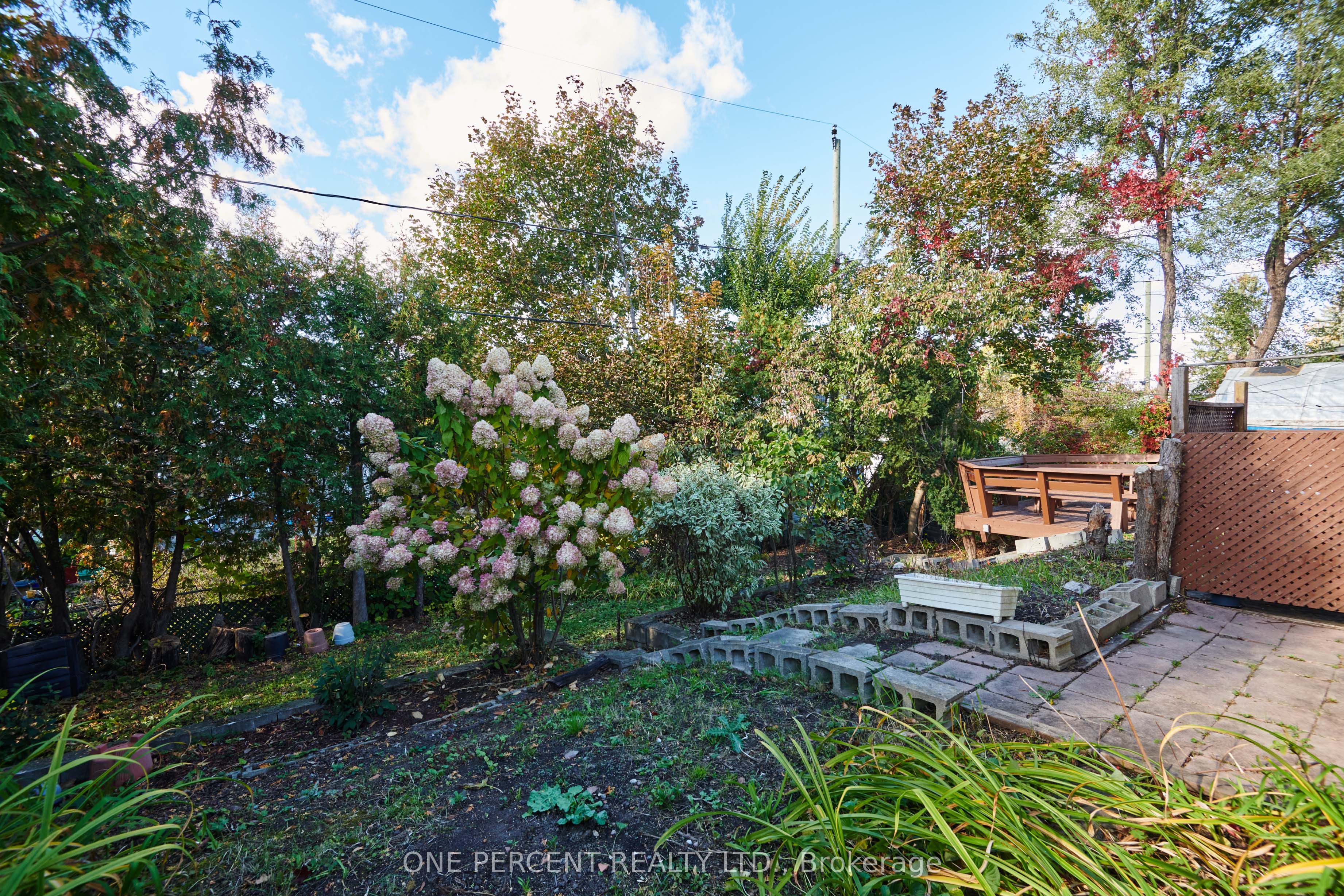 1240 Field Street Property Photo 32