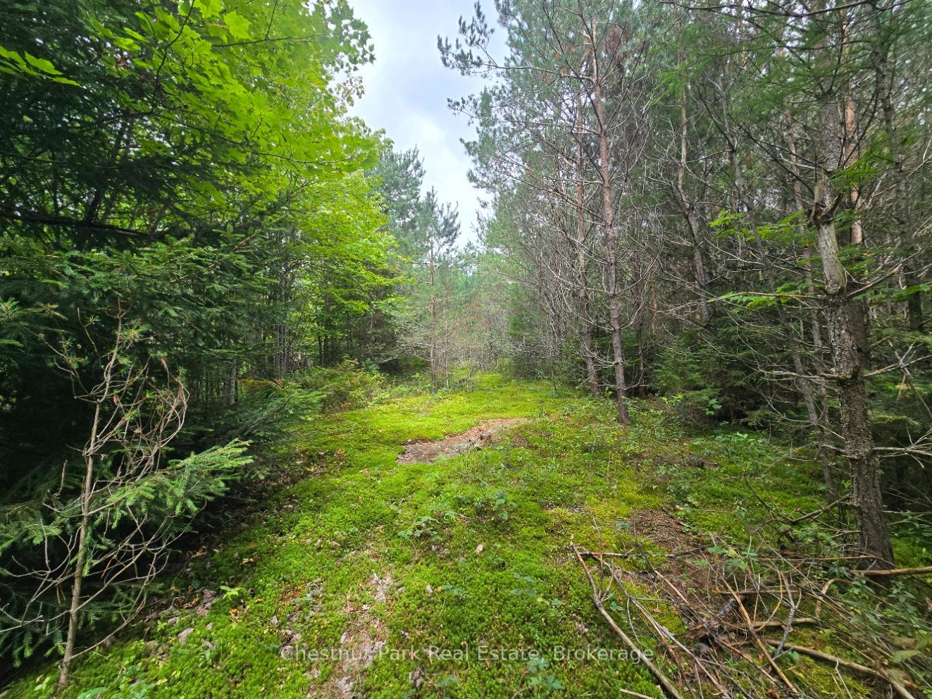 00 Old Track Road Property Photo 2