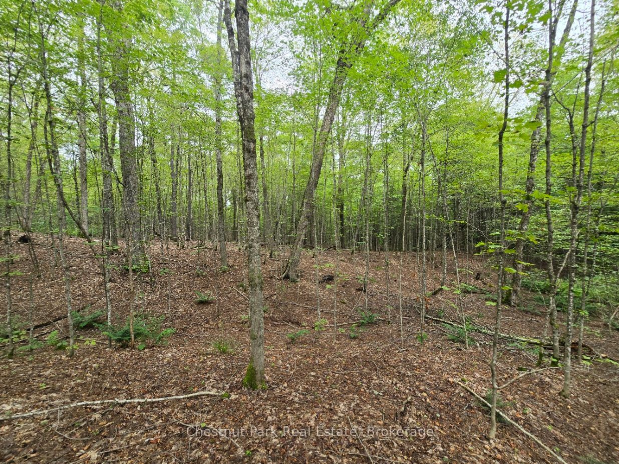 00 Old Track Road Property Photo 3