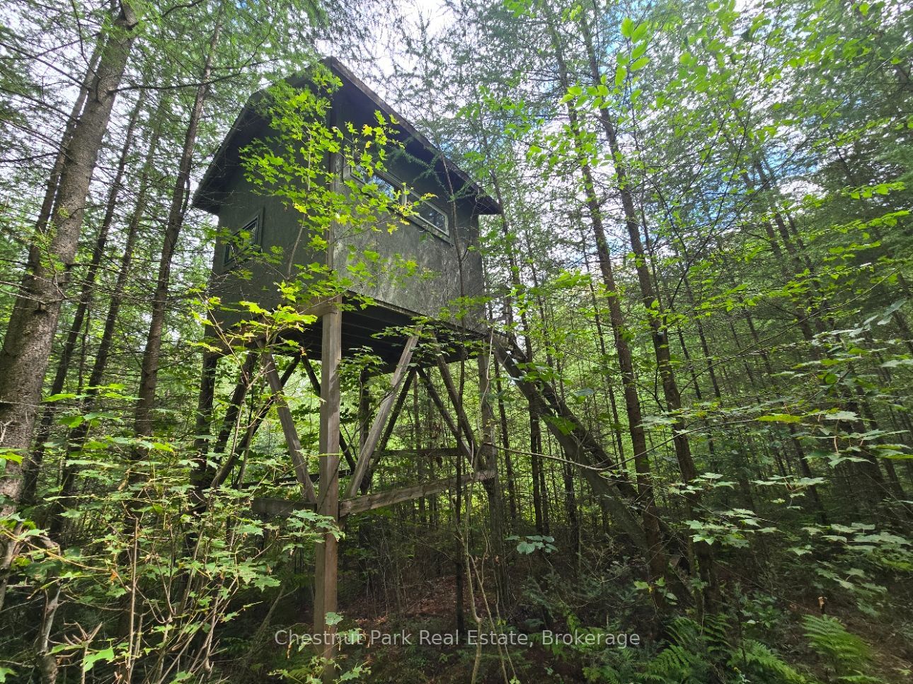 00 Old Track Road Property Photo 4