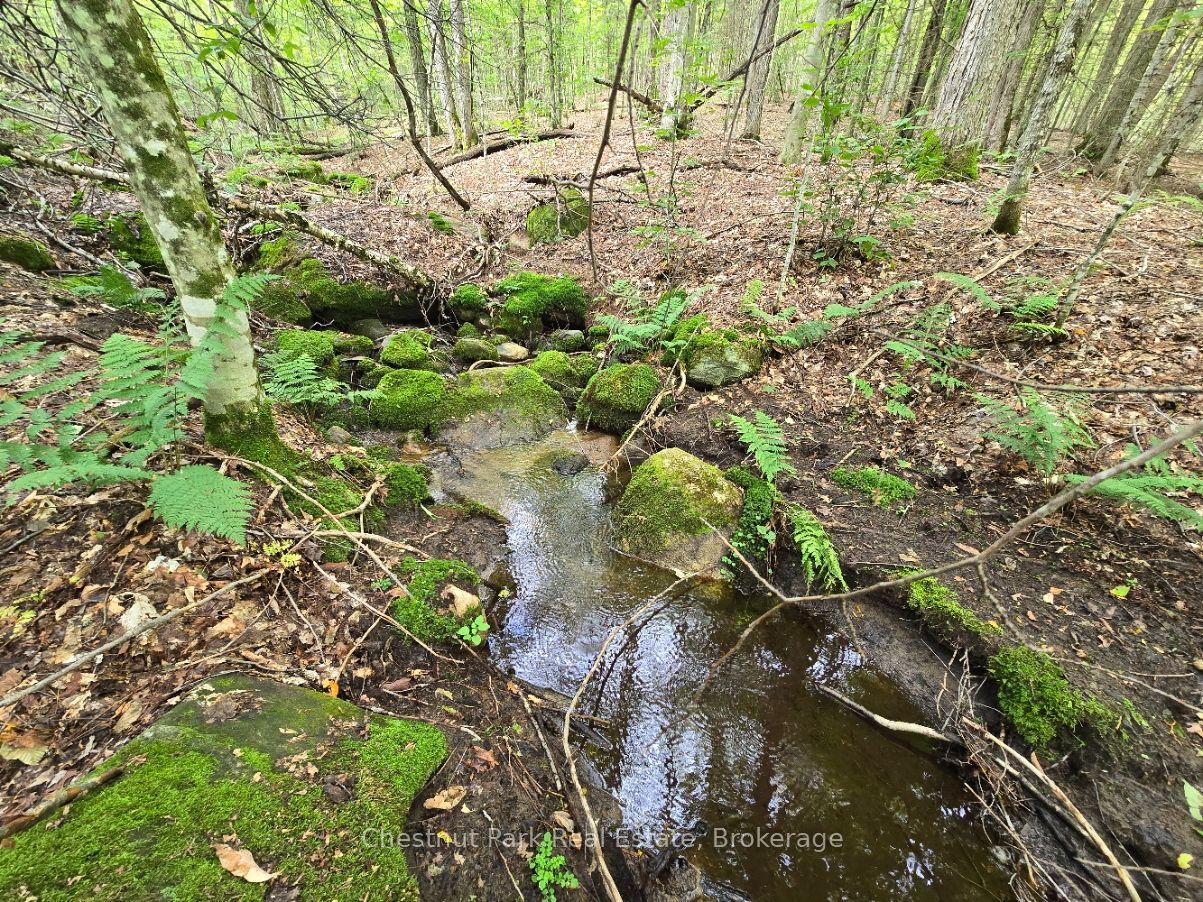 00 Old Track Road Property Photo 5
