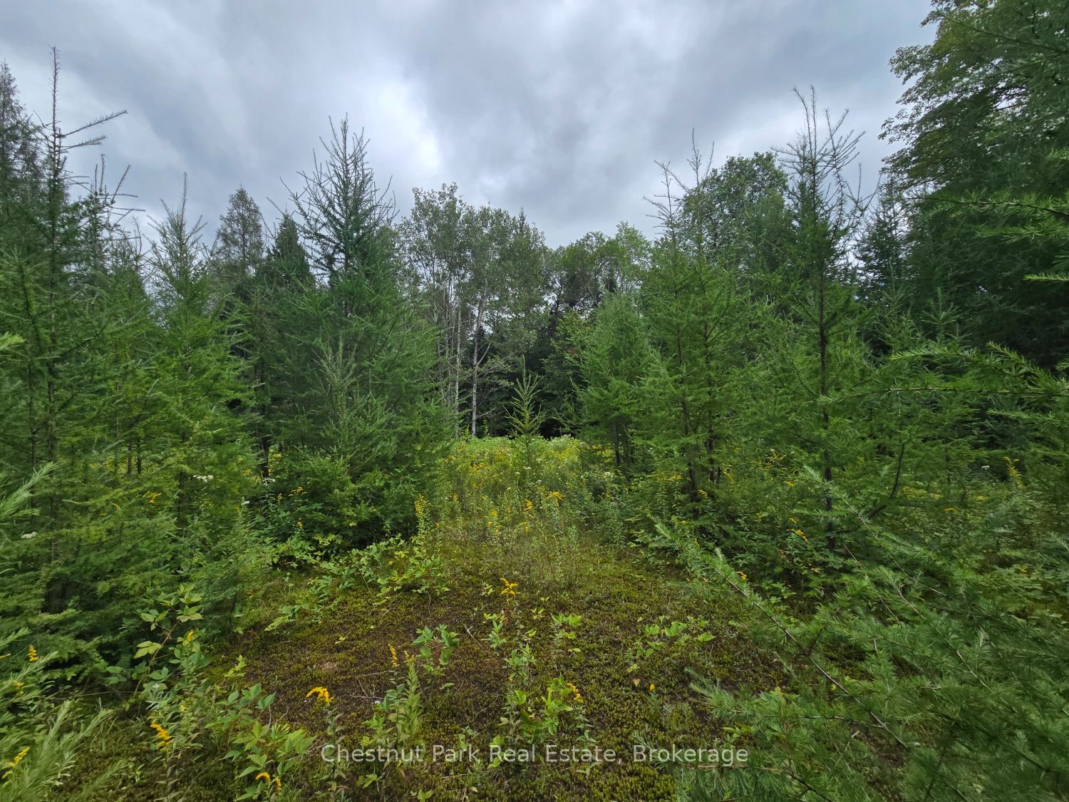 00 Old Track Road Property Photo 6