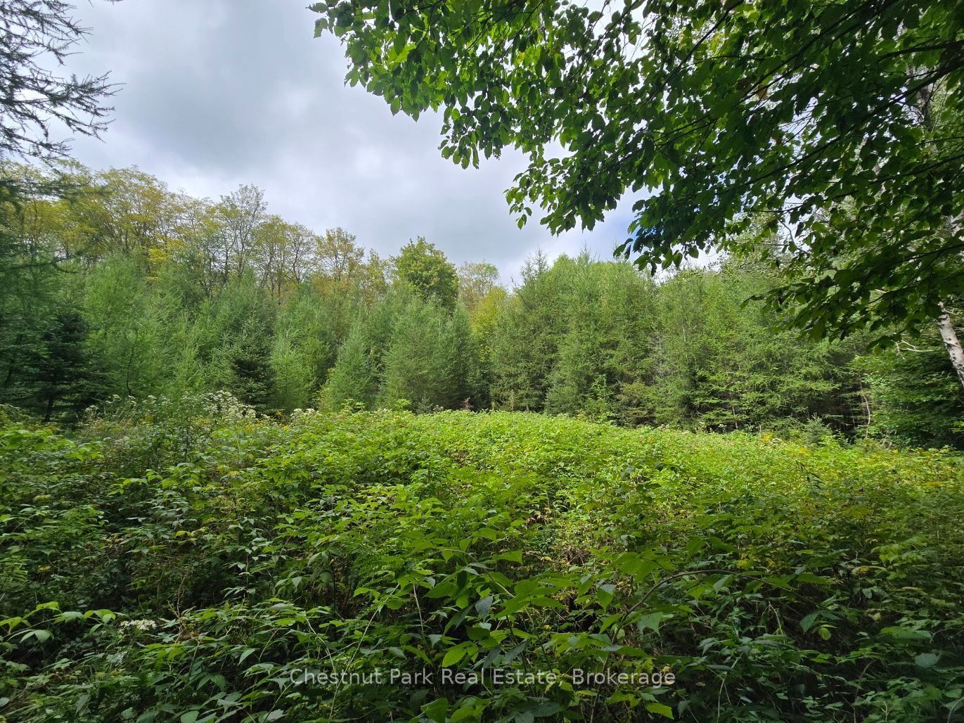00 Old Track Road Property Photo 7