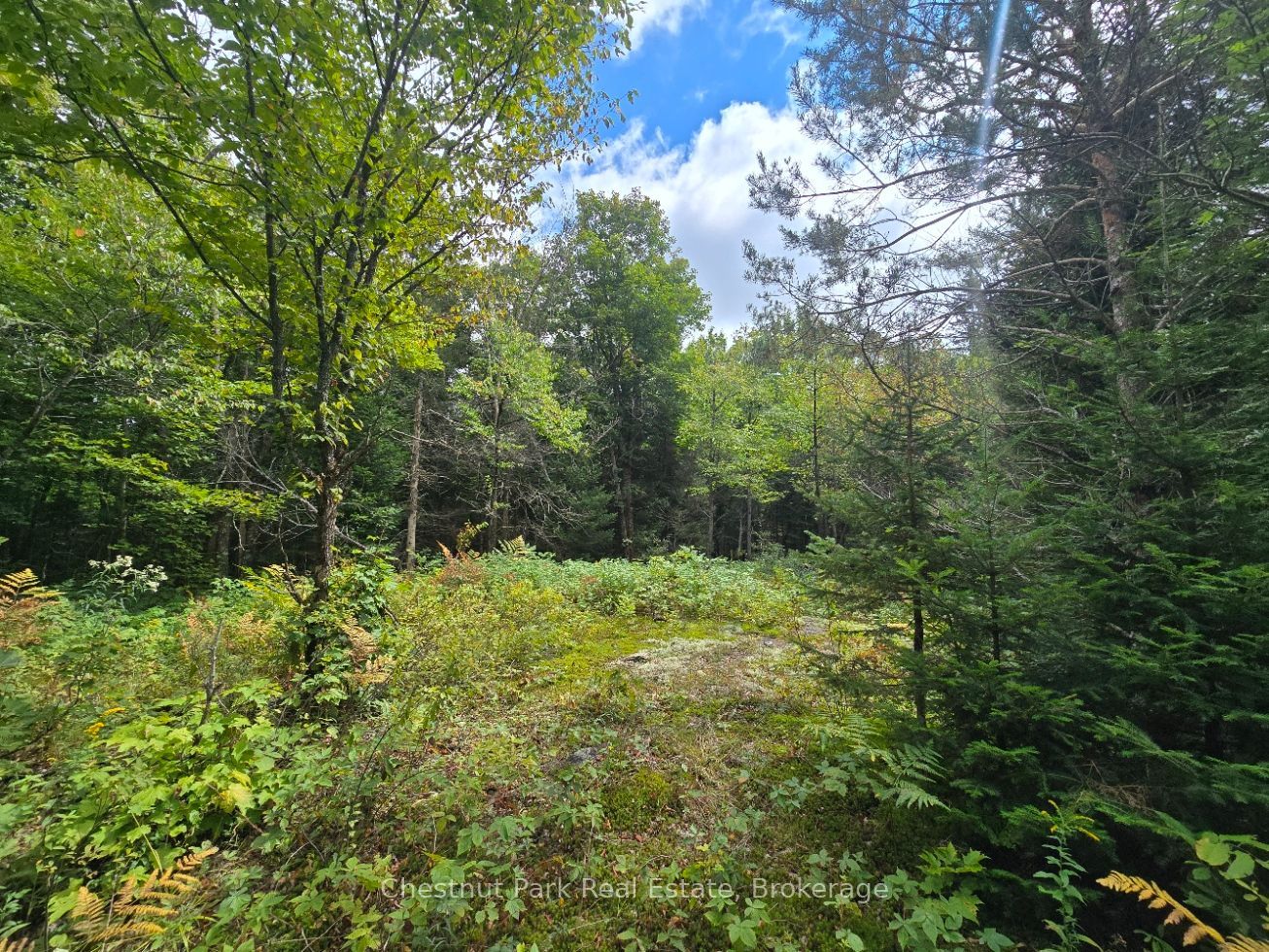 00 Old Track Road Property Photo 8