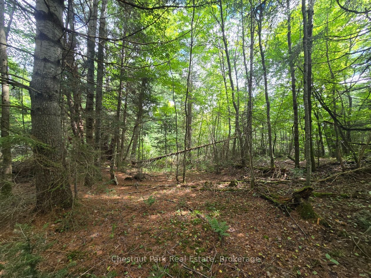 00 Old Track Road Property Photo 9
