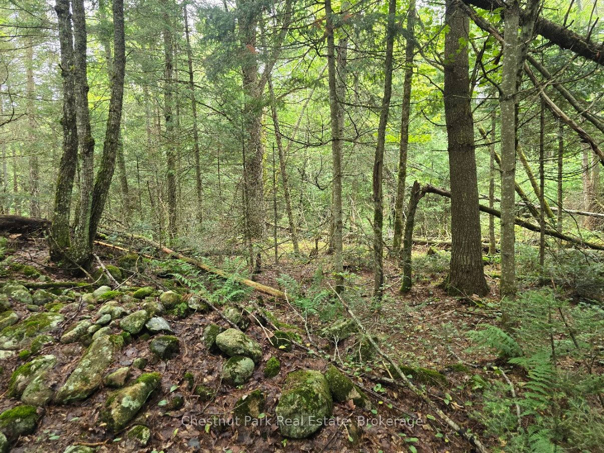 00 Old Track Road Property Photo 10