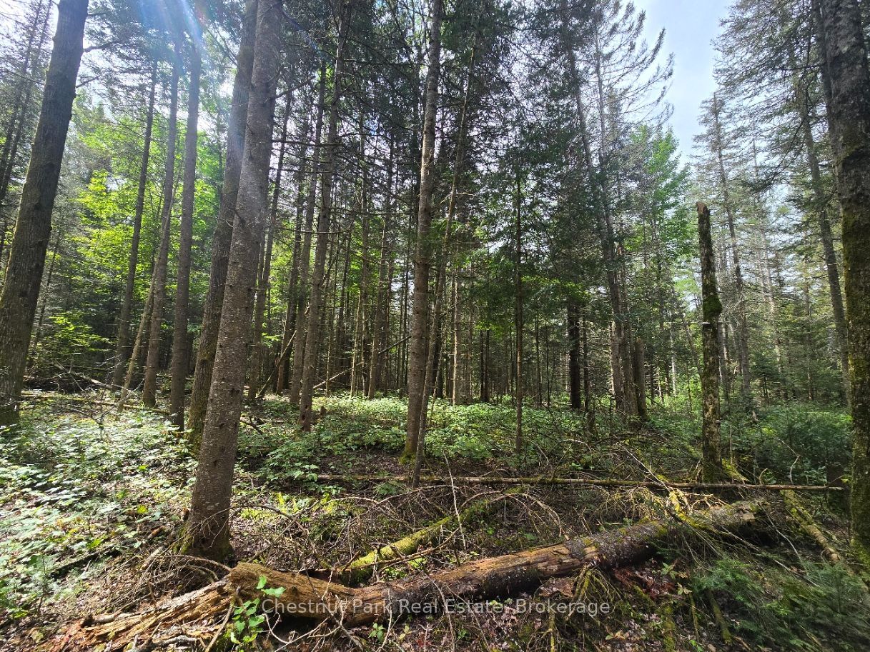 00 Old Track Road Property Photo 11