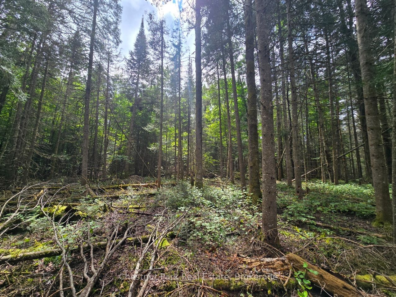 00 Old Track Road Property Photo 12