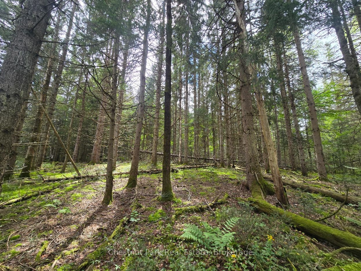 00 Old Track Road Property Photo 13