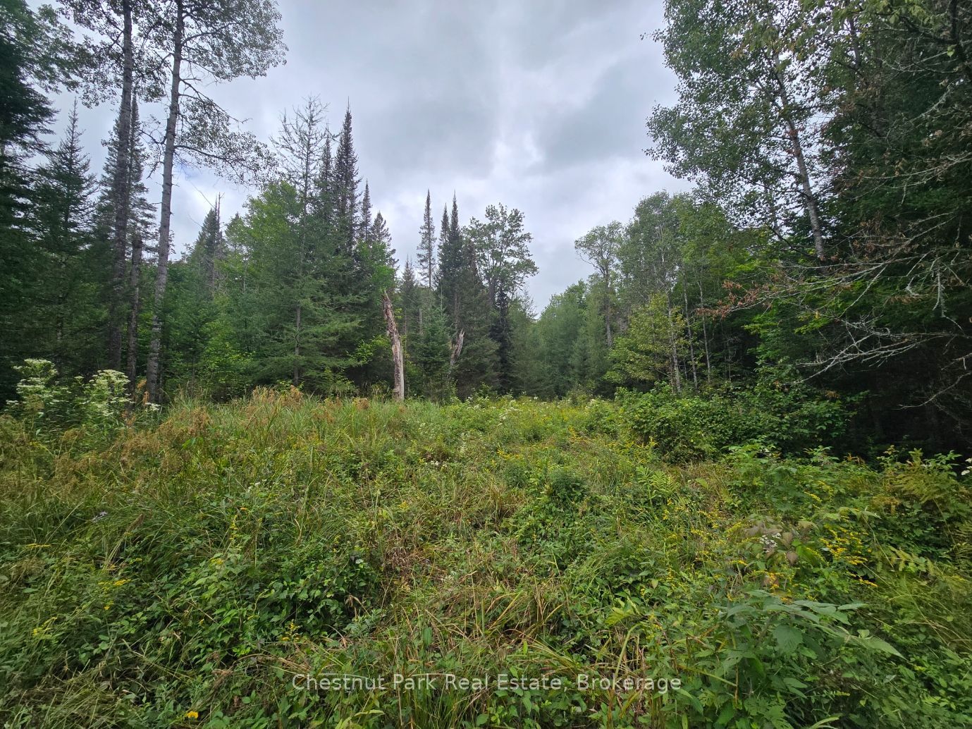 00 Old Track Road Property Photo 15