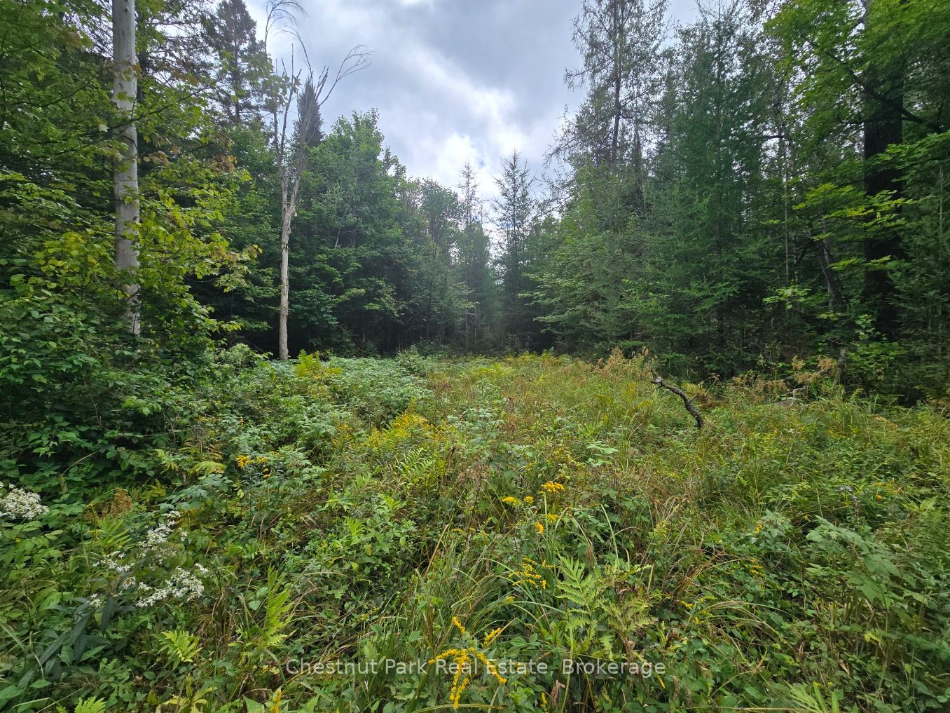 00 Old Track Road Property Photo 16