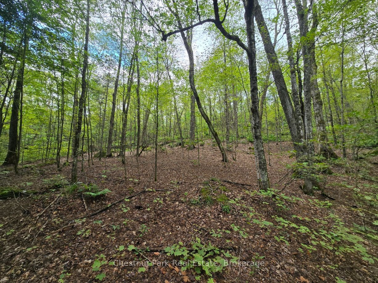 00 Old Track Road Property Photo 18