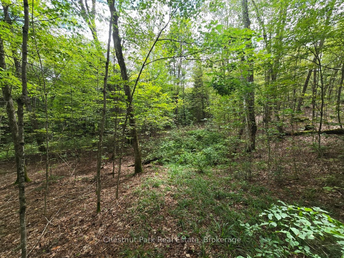 00 Old Track Road Property Photo 19