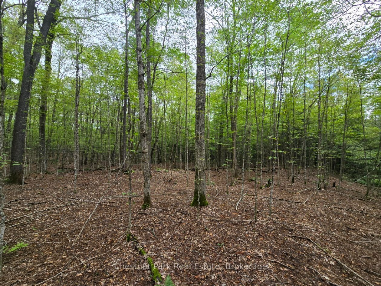 00 Old Track Road Property Photo 20