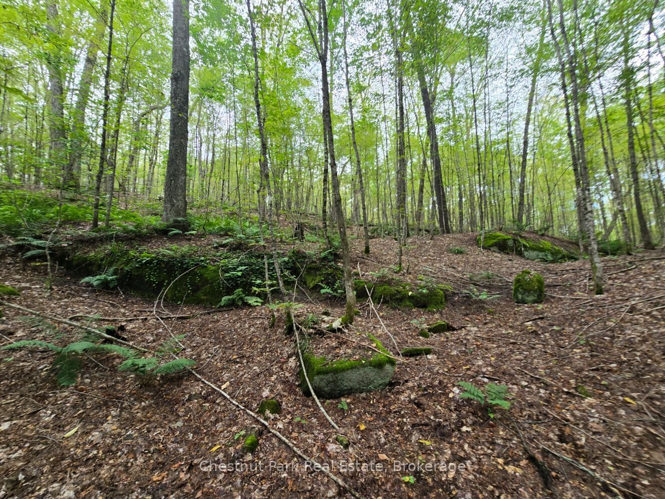 00 Old Track Road Property Photo 21