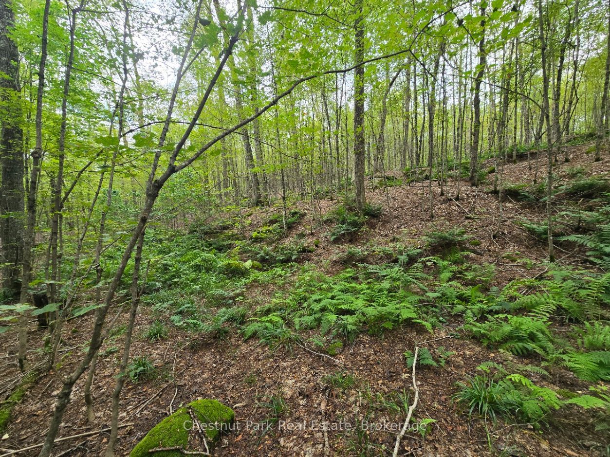 00 Old Track Road Property Photo 22