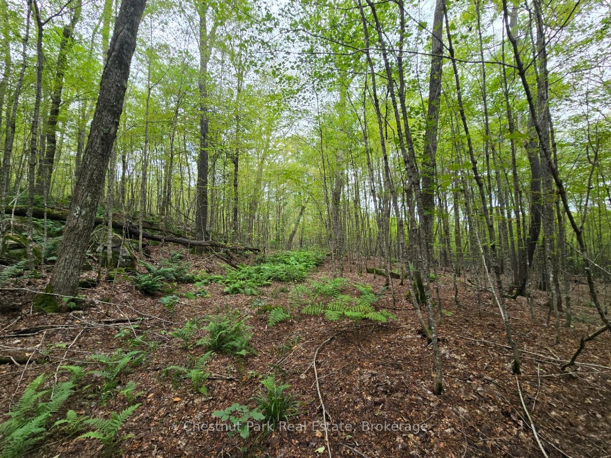 00 Old Track Road Property Photo 23