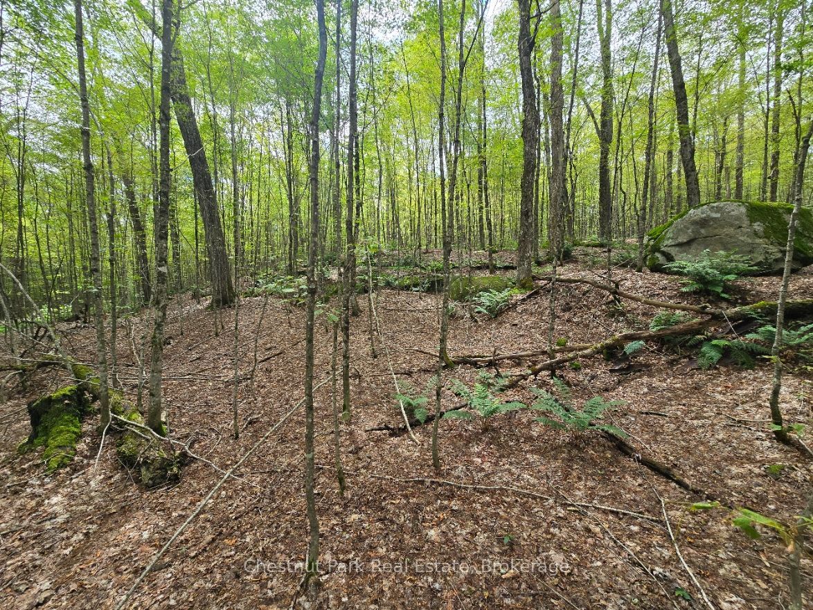 00 Old Track Road Property Photo 24