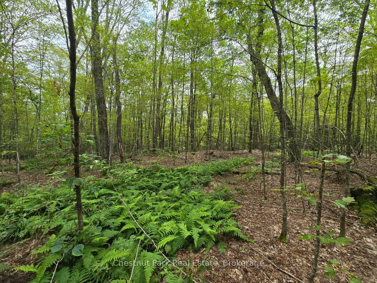 00 Old Track Road Property Photo 25
