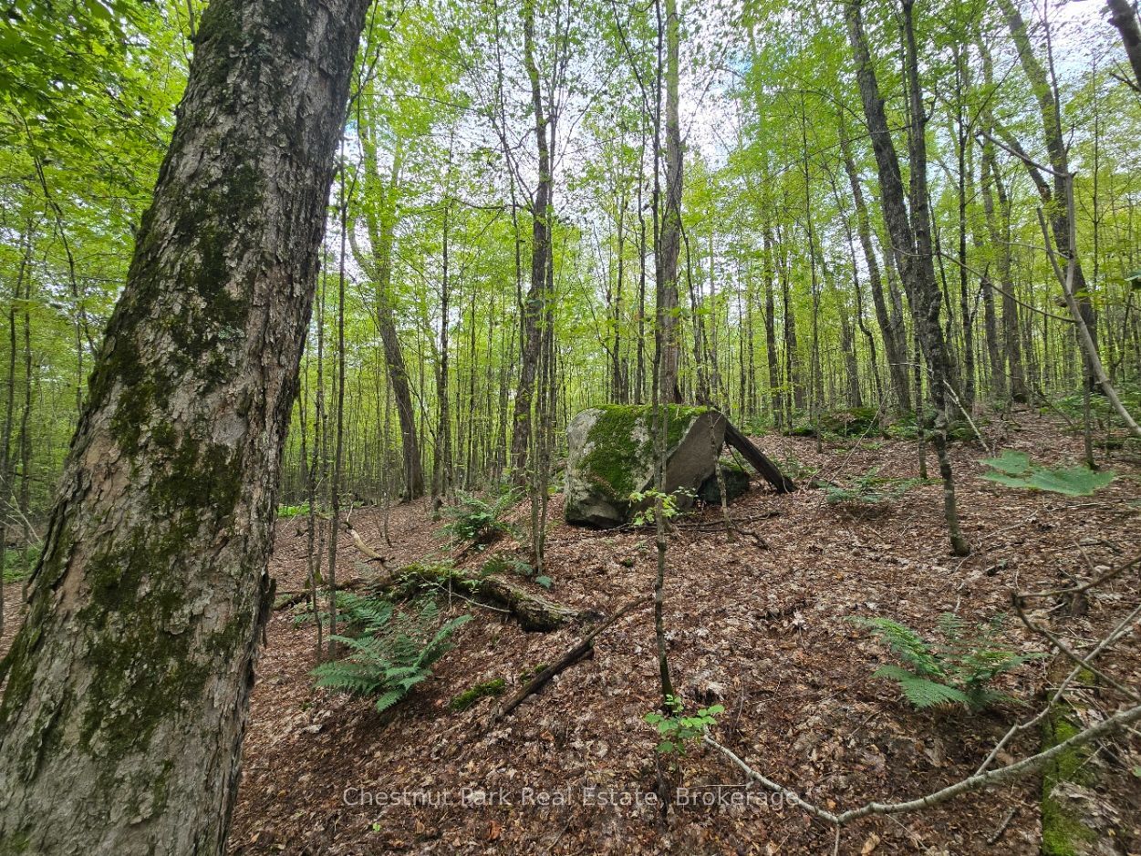 00 Old Track Road Property Photo 26