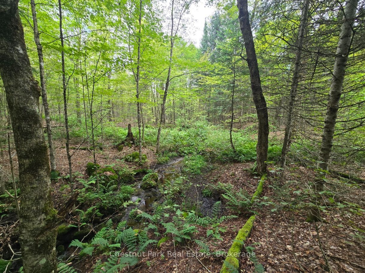 00 Old Track Road Property Photo 27