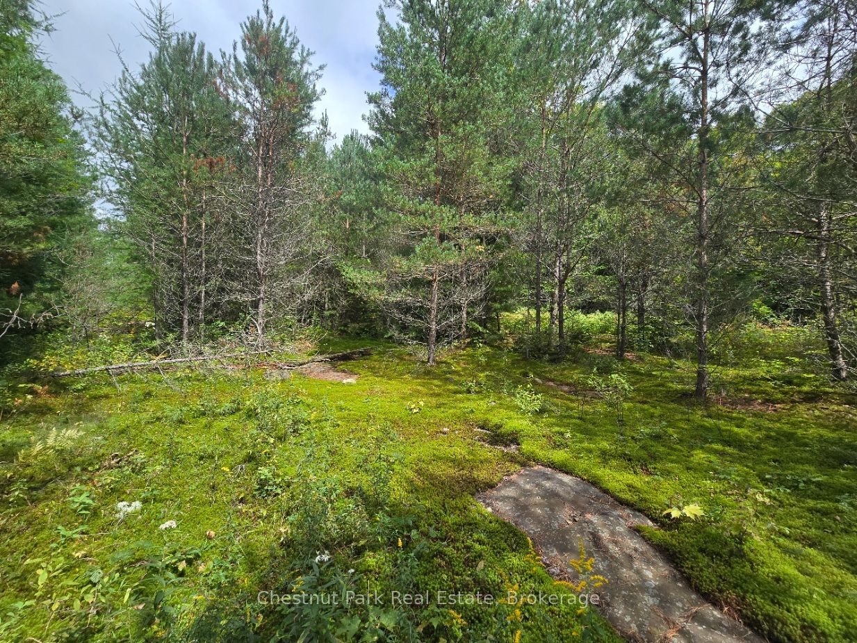 00 Old Track Road Property Photo 28