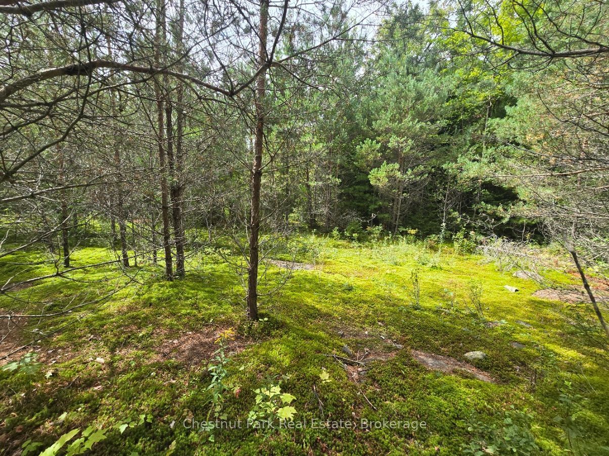 00 Old Track Road Property Photo 29