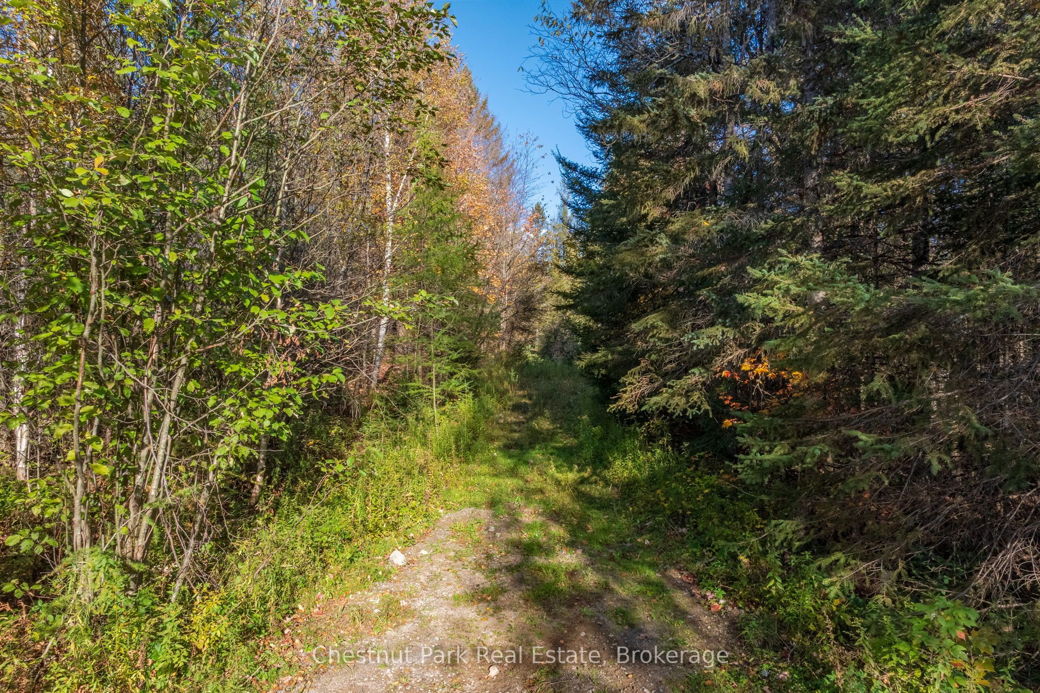 00 Old Track Road Property Photo 35