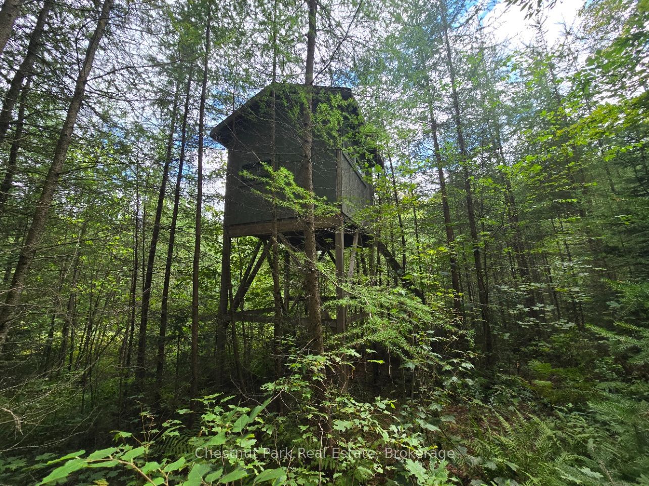 00 Old Track Road Property Photo 42