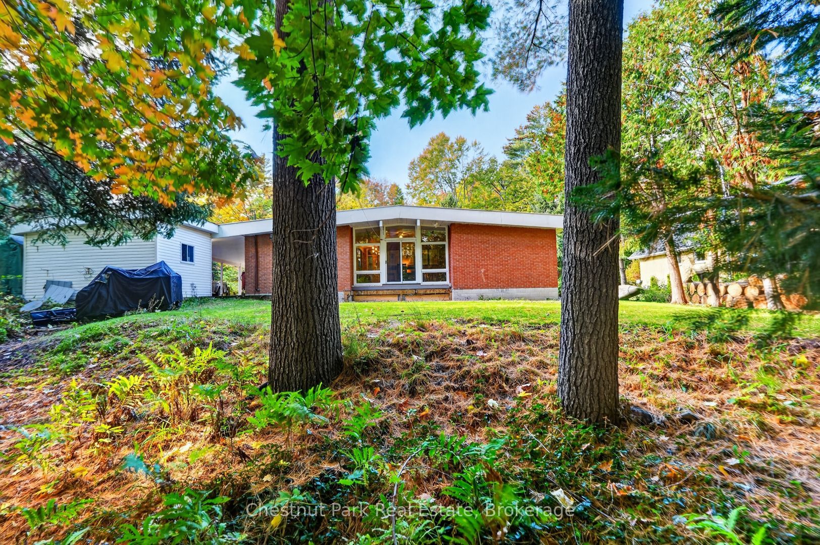 240 Knister Road Property Photo 36