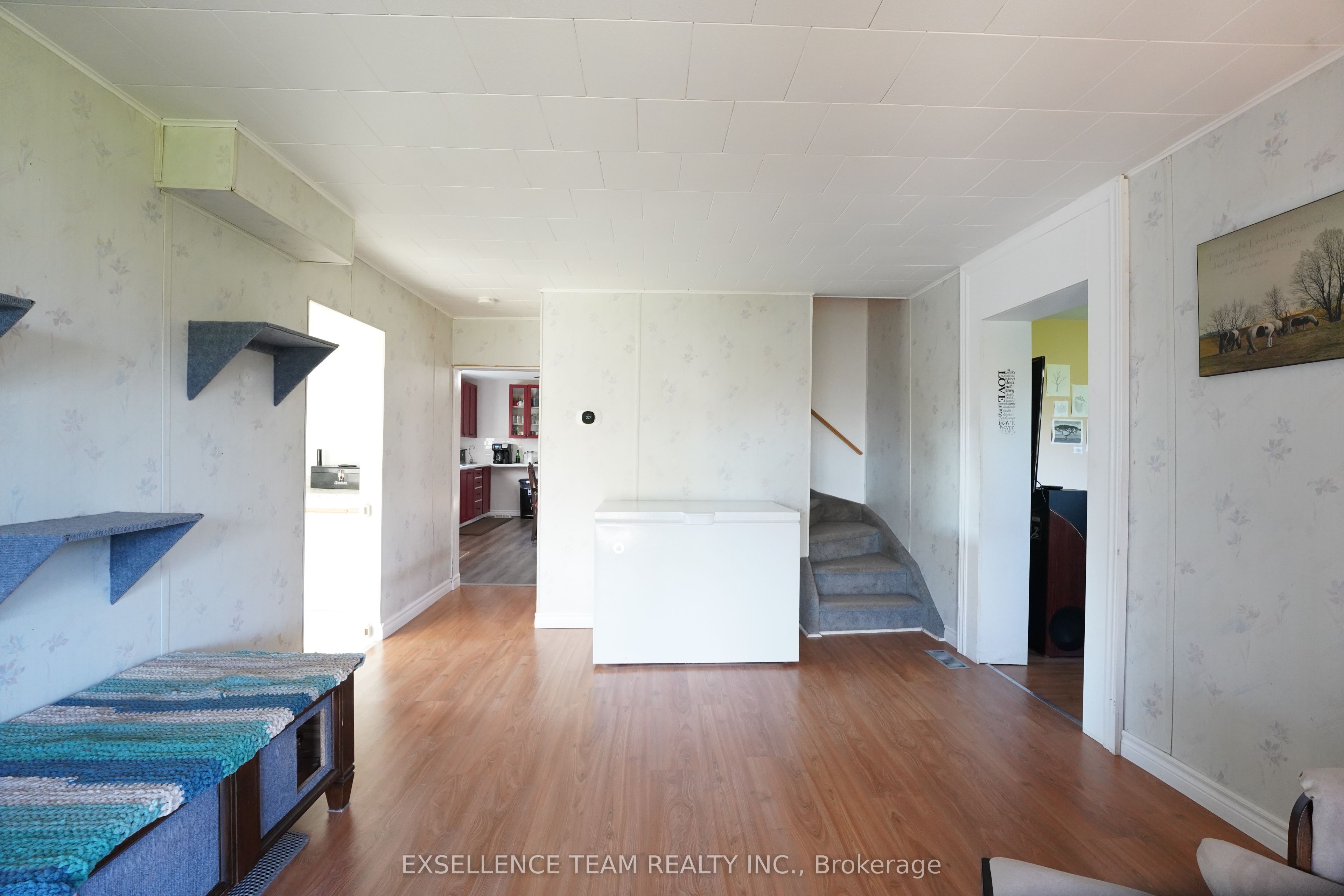 7 Mary Street Property Photo 30
