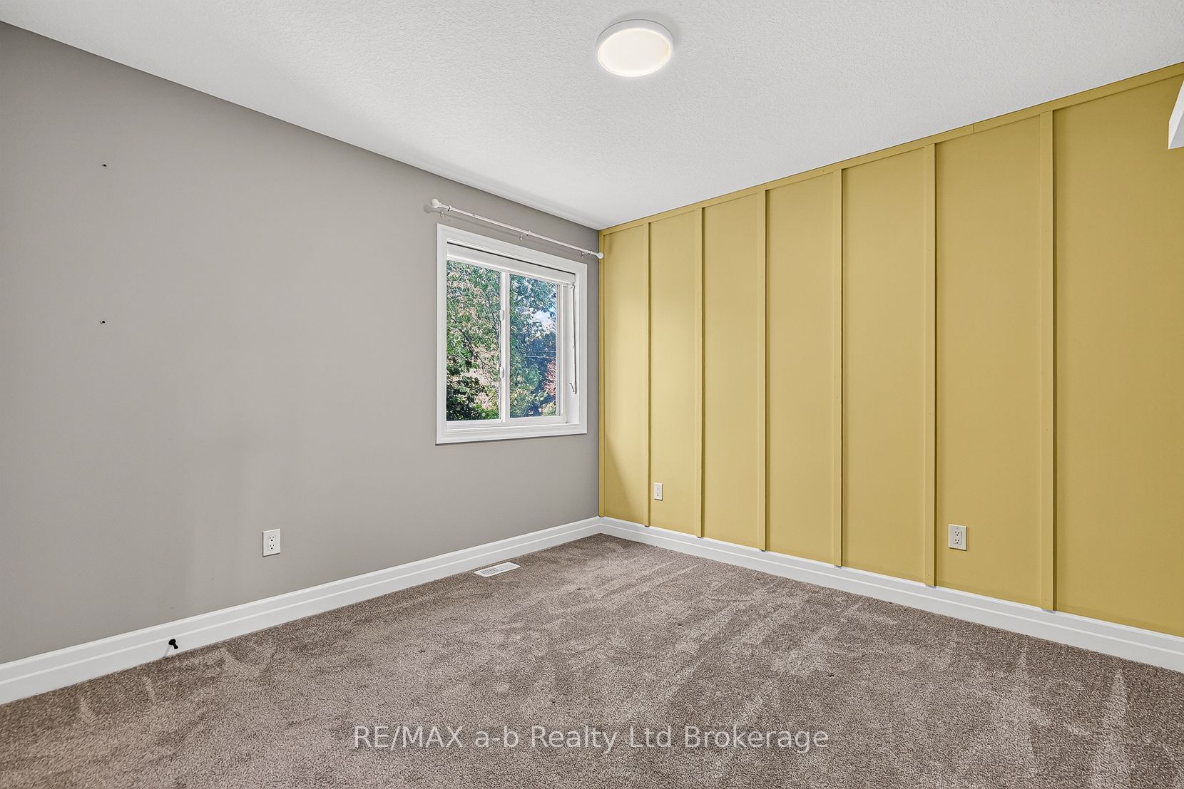 6 Diamond Street Property Photo 21