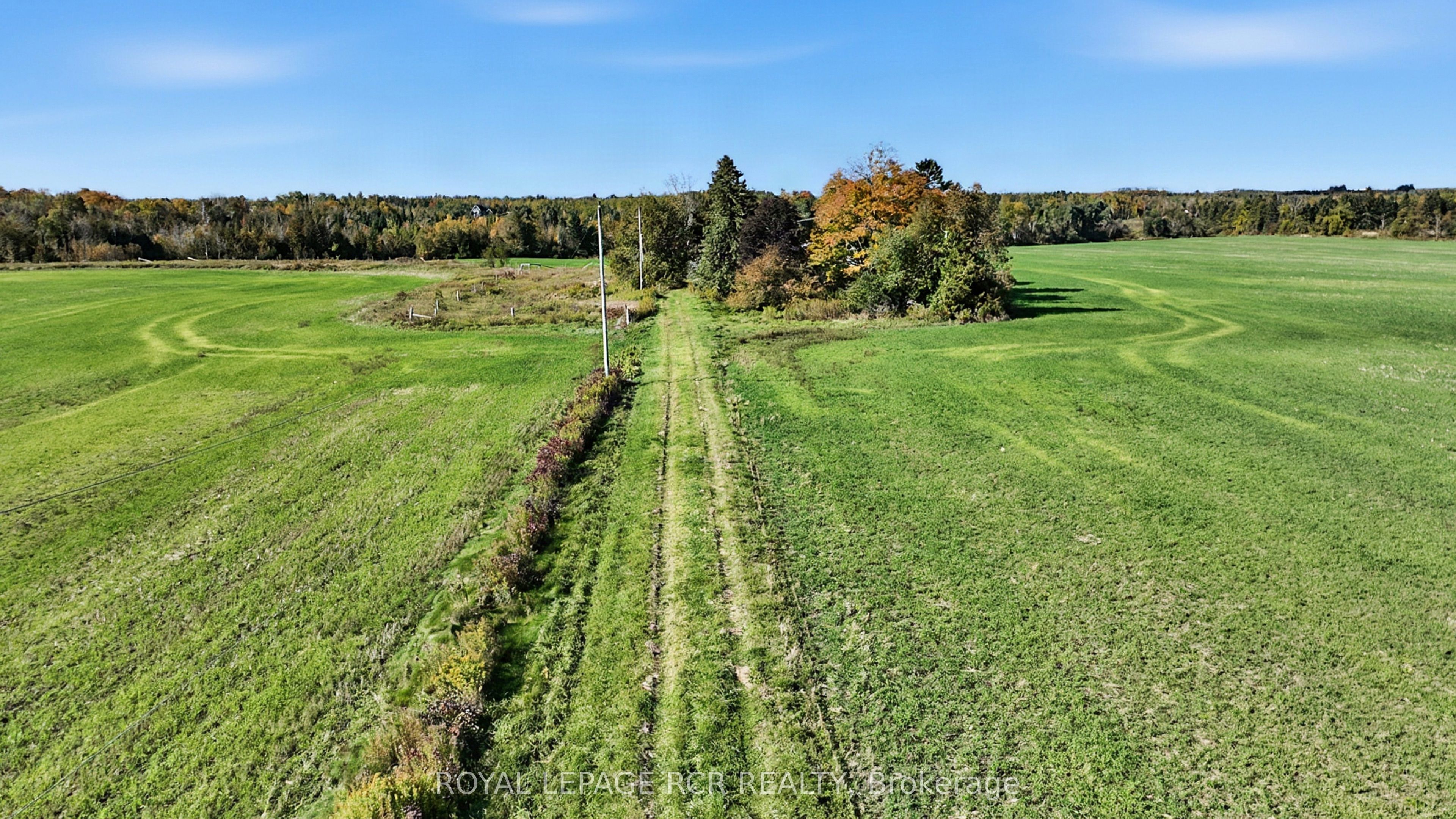 516458 County 124 Road Property Photo 6