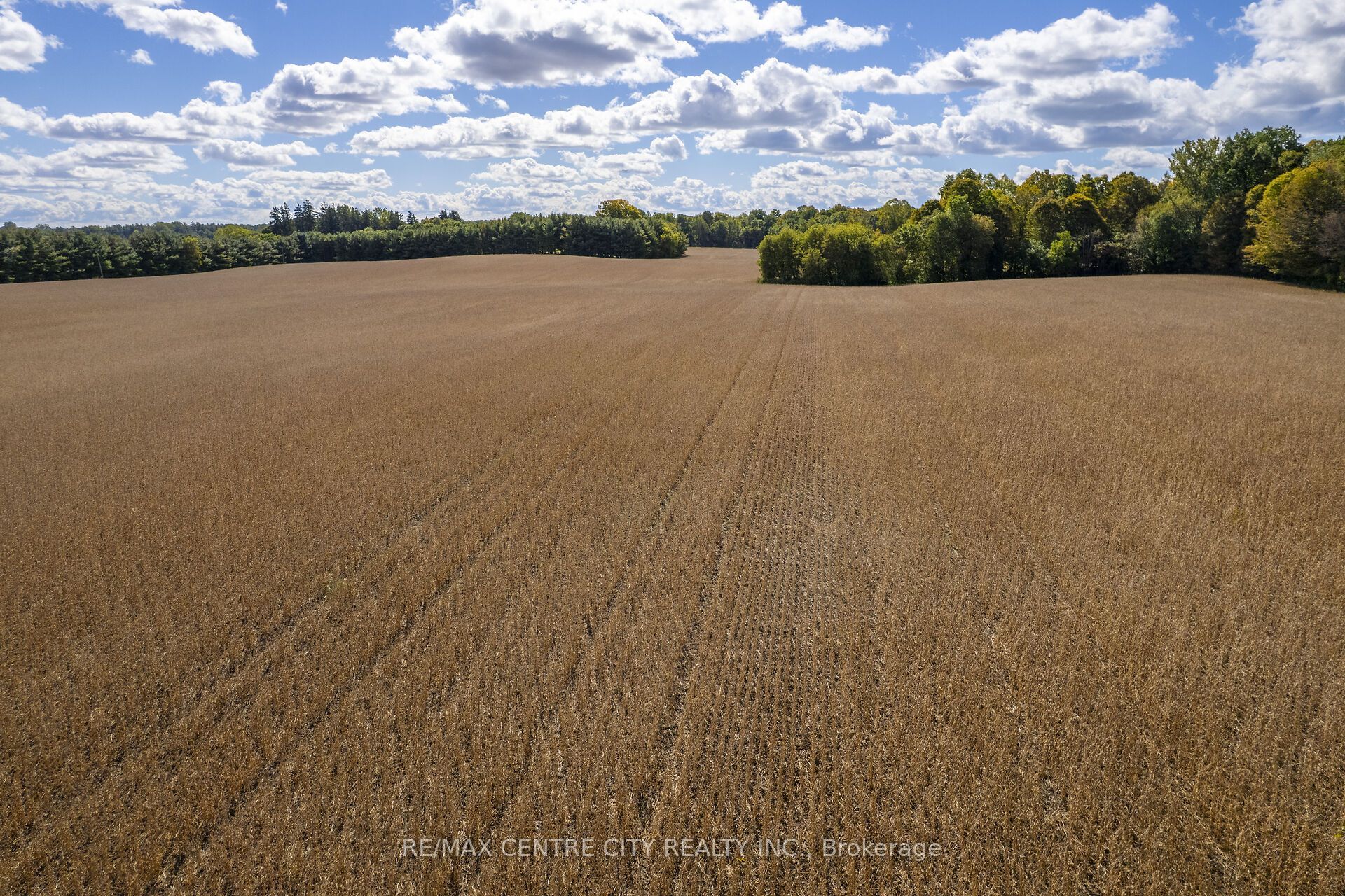 Pt Lt 113 Culloden Road Property Photo 18