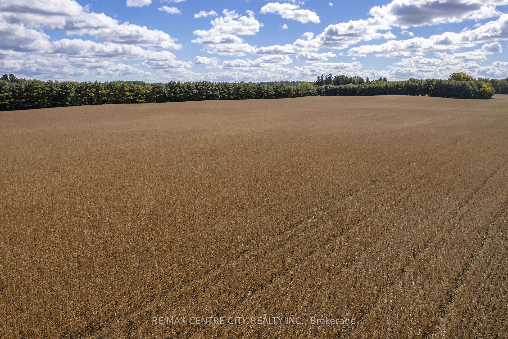 Pt Lt 113 Culloden Road Property Photo 19