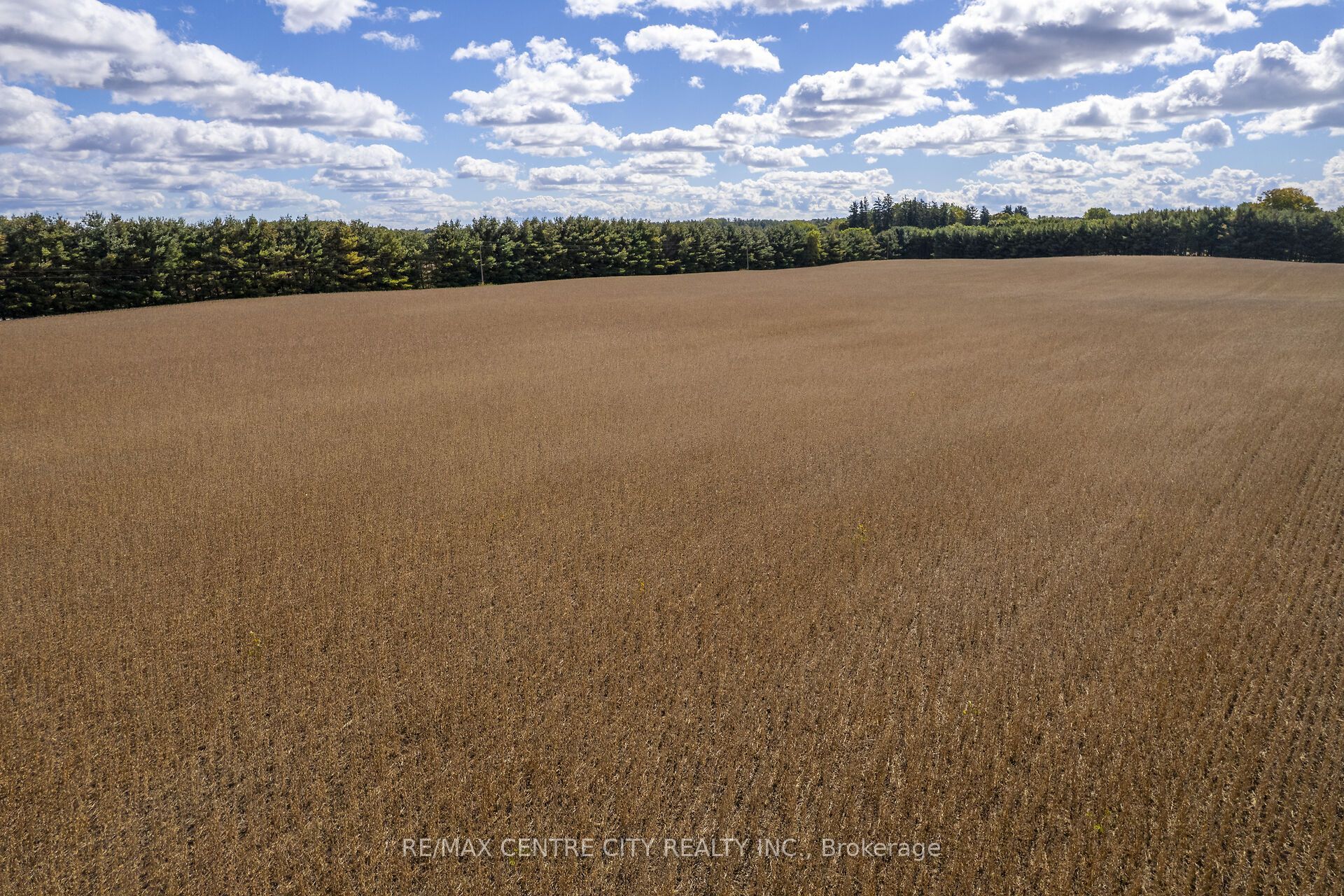 Pt Lt 113 Culloden Road Property Photo 20