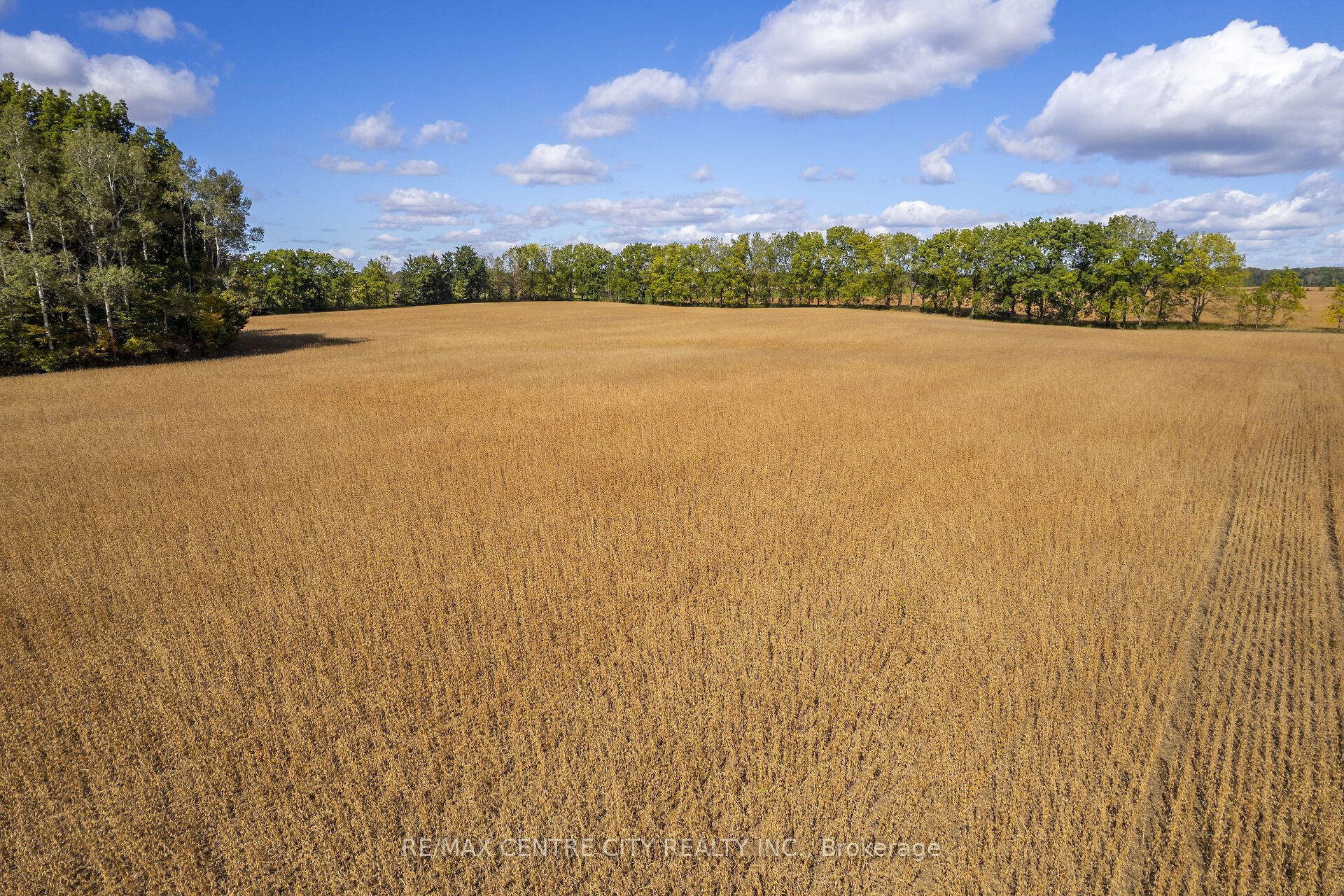 Pt Lt 113 Culloden Road Property Photo 22