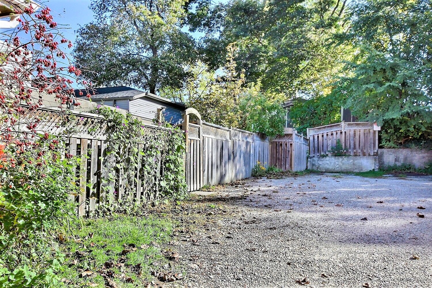 223 Water Street N Street Property Photo 21