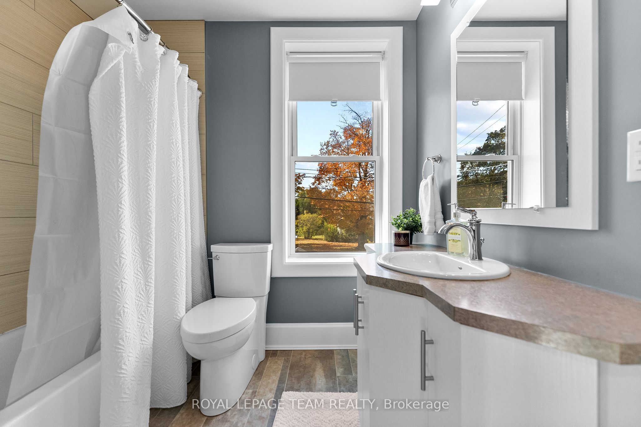 729 Raglan Street S Property Photo 18