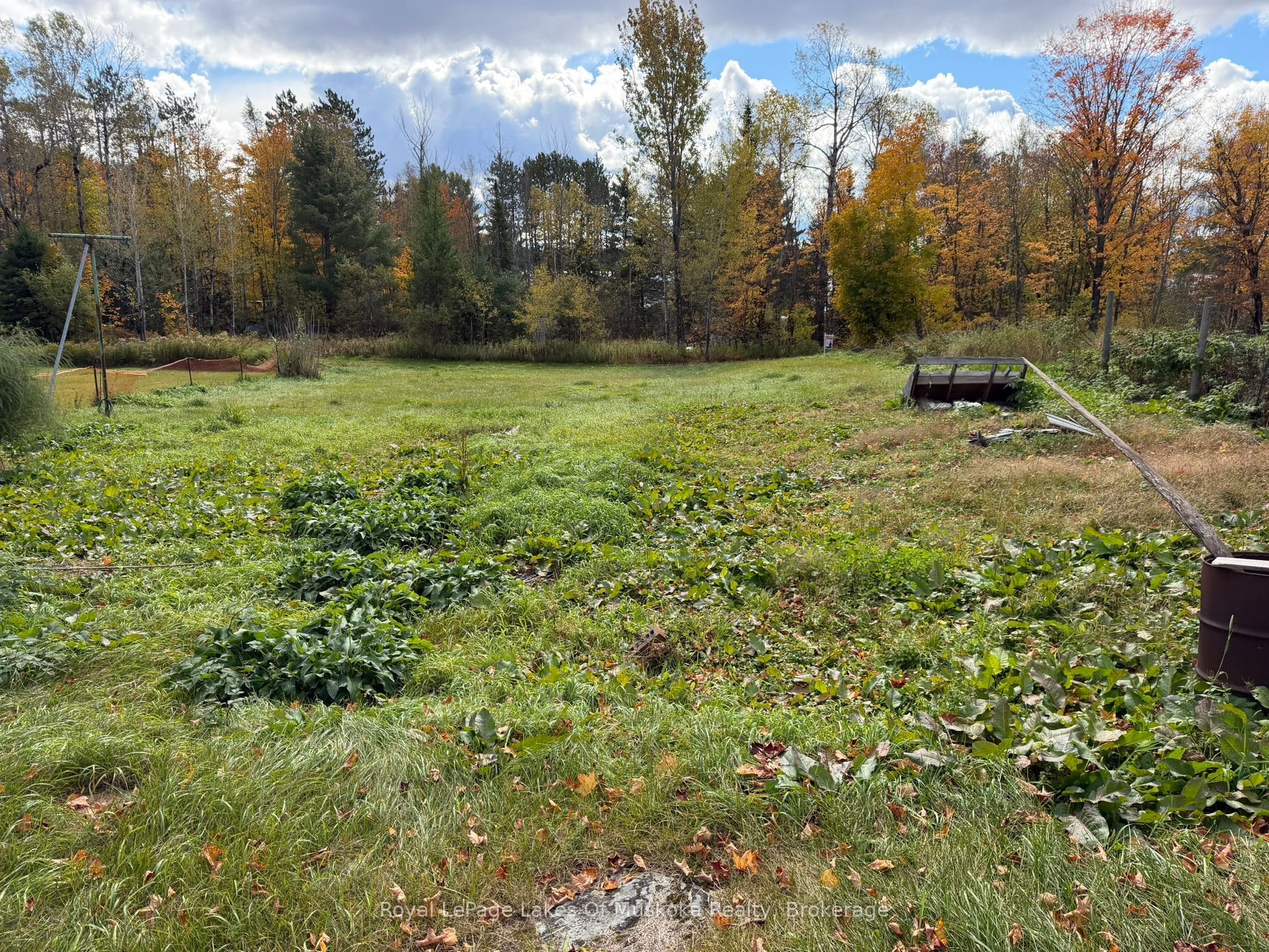 4673 518 Highway Property Photo 13