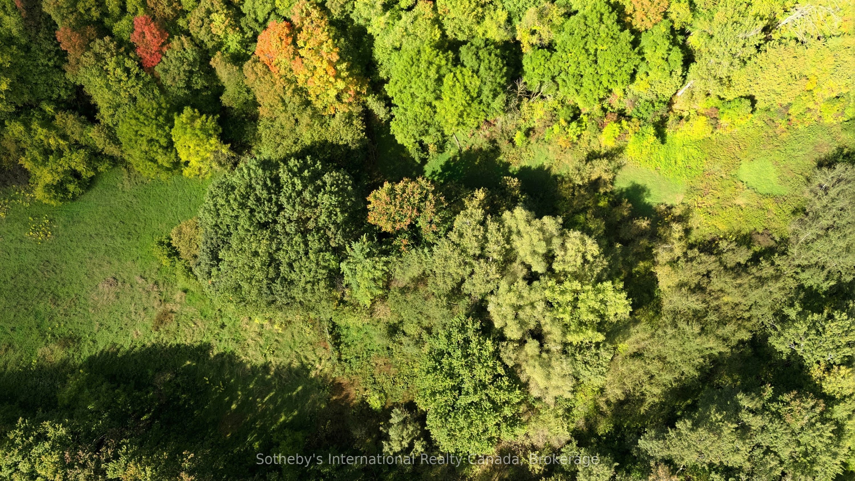 984436 Perth Oxford Road Property Photo 4