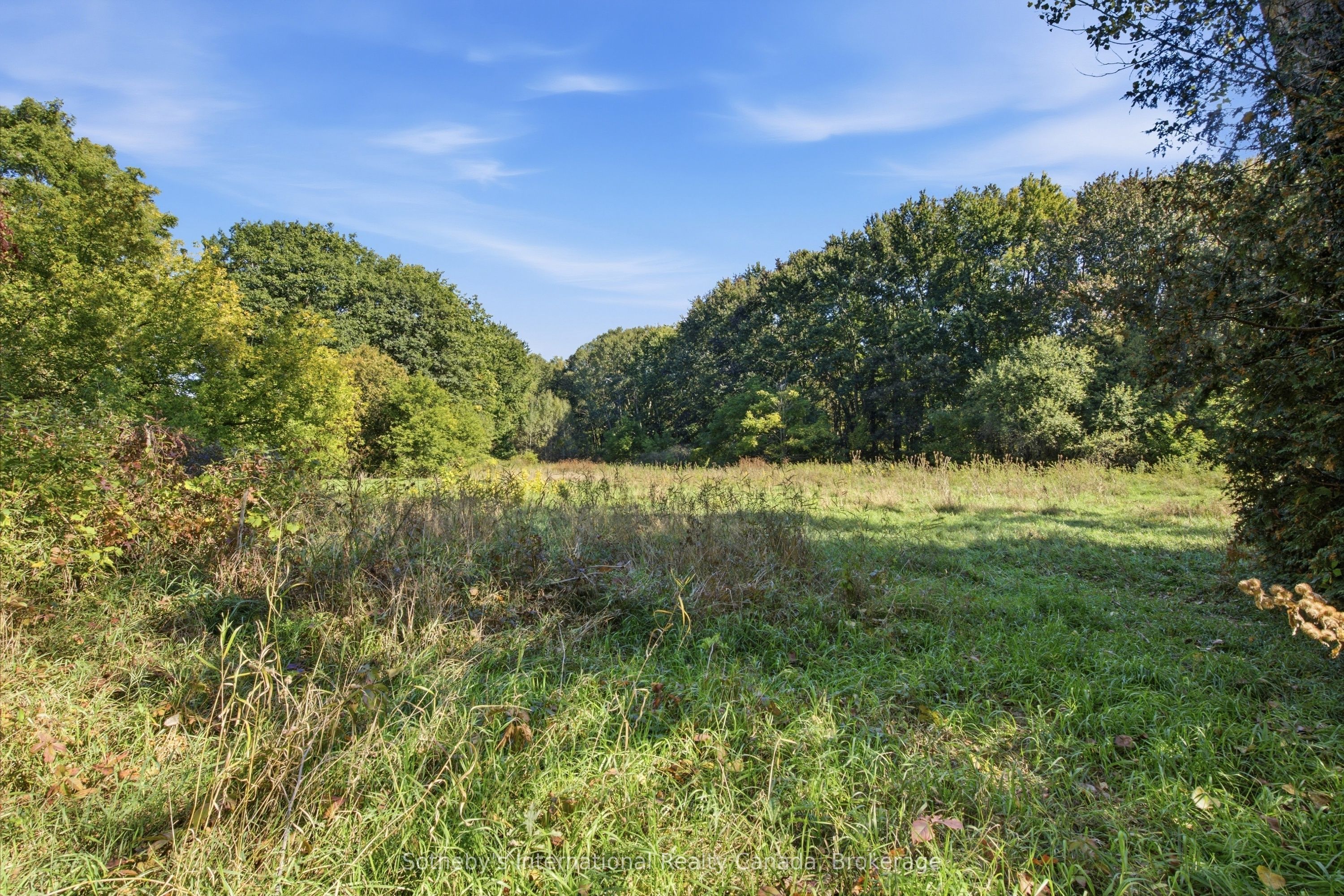 984436 Perth Oxford Road Property Photo 7