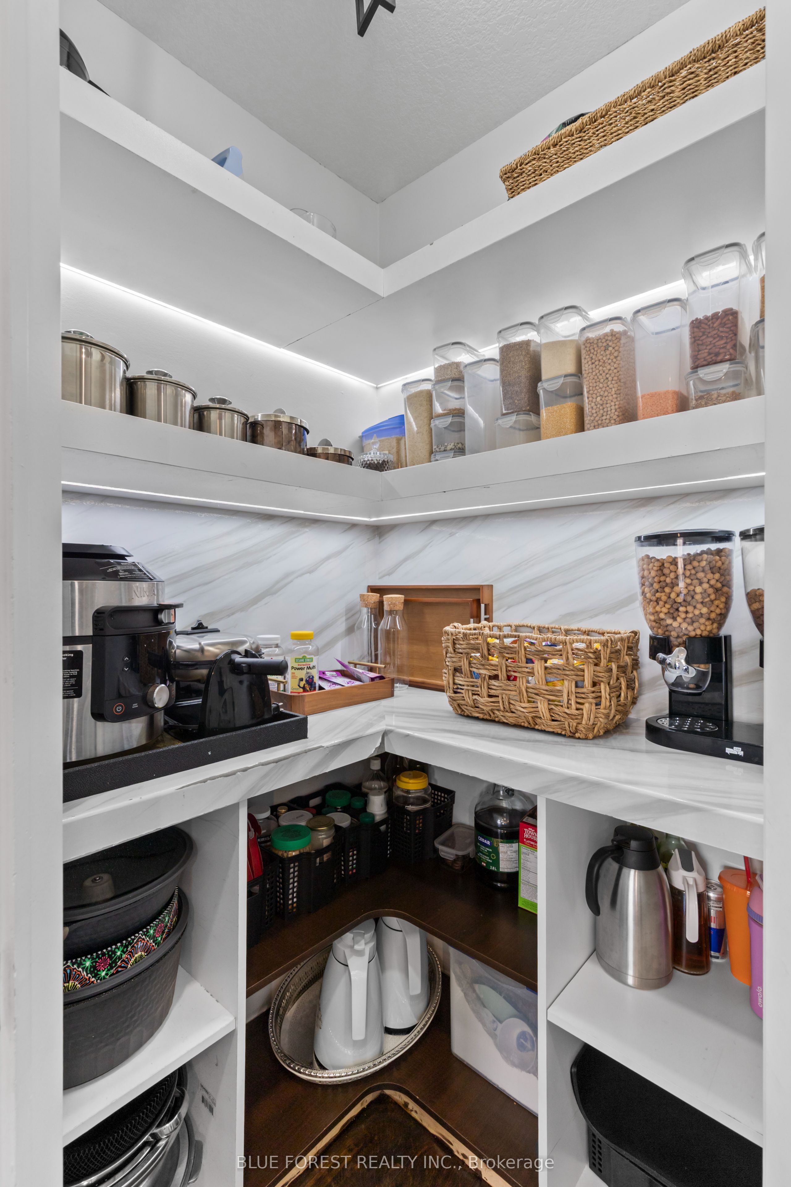 3293 Casson Way Property Photo 12
