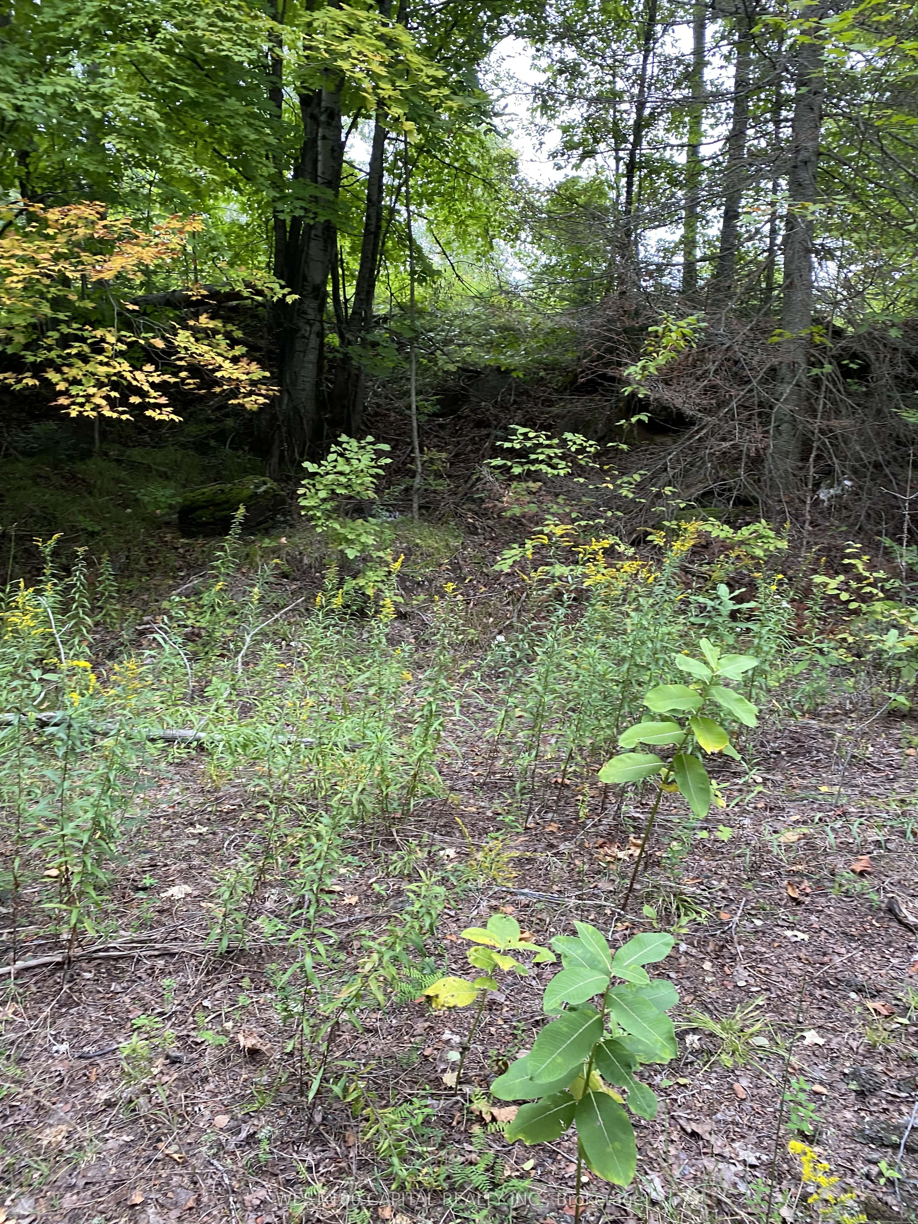 6055 Hwy 620 Property Photo 1