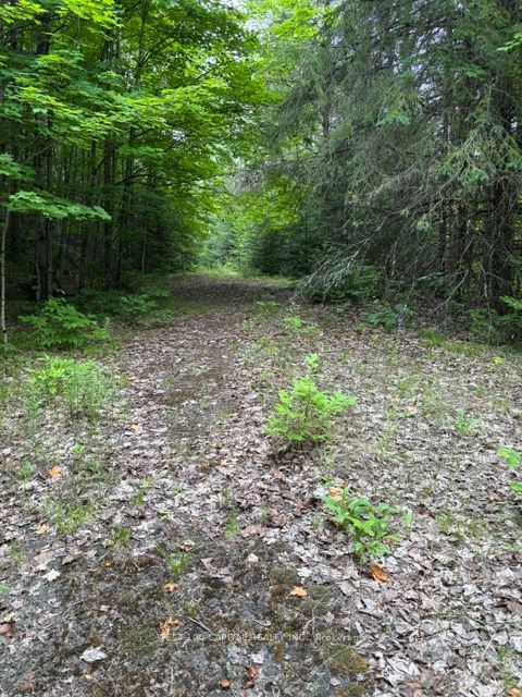 6055 Hwy 620 Property Photo 6