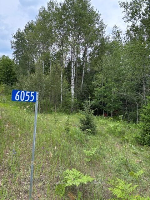 6055 Hwy 620 Property Photo 7