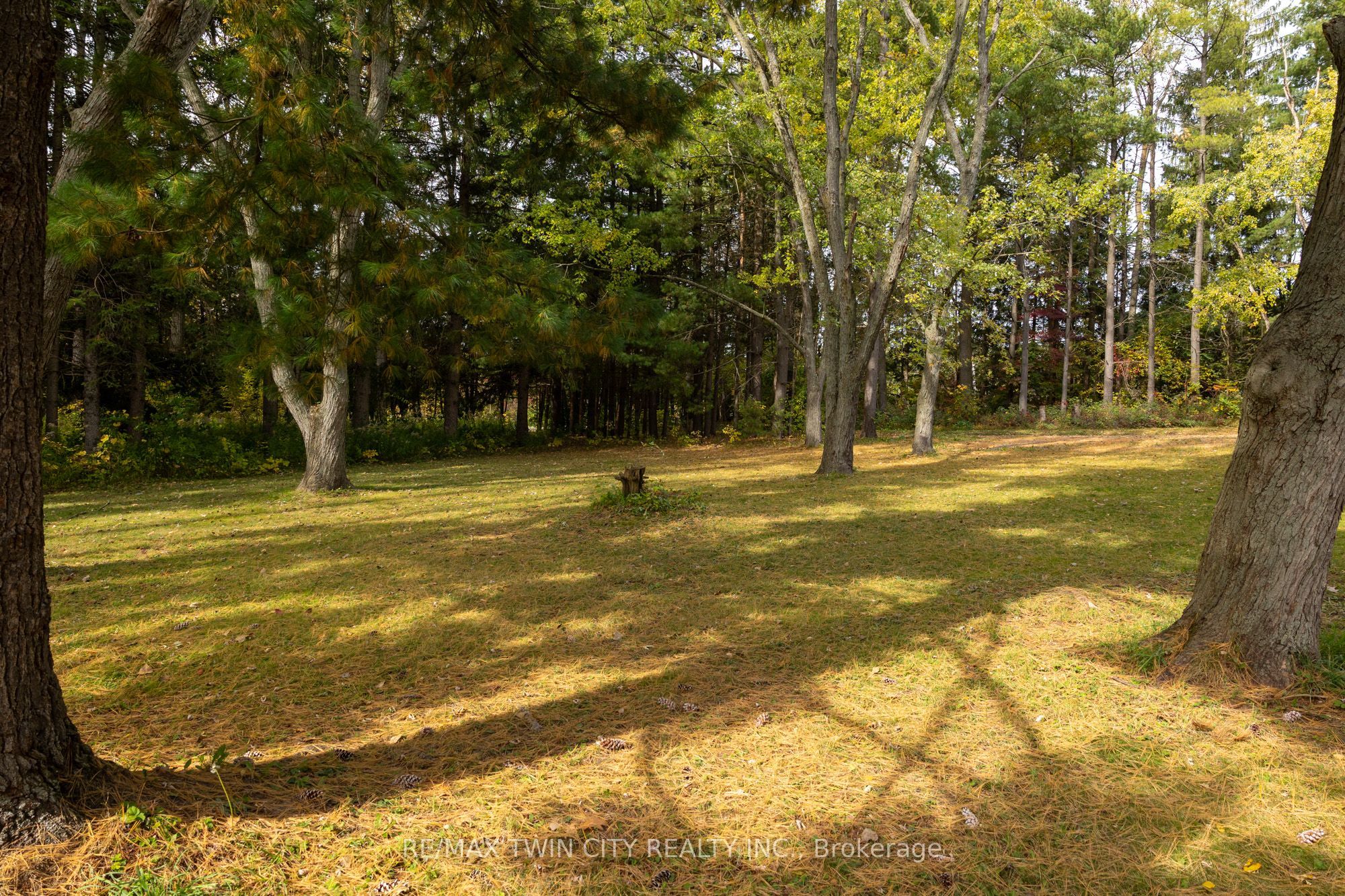 84 Etonia Road Property Photo 11