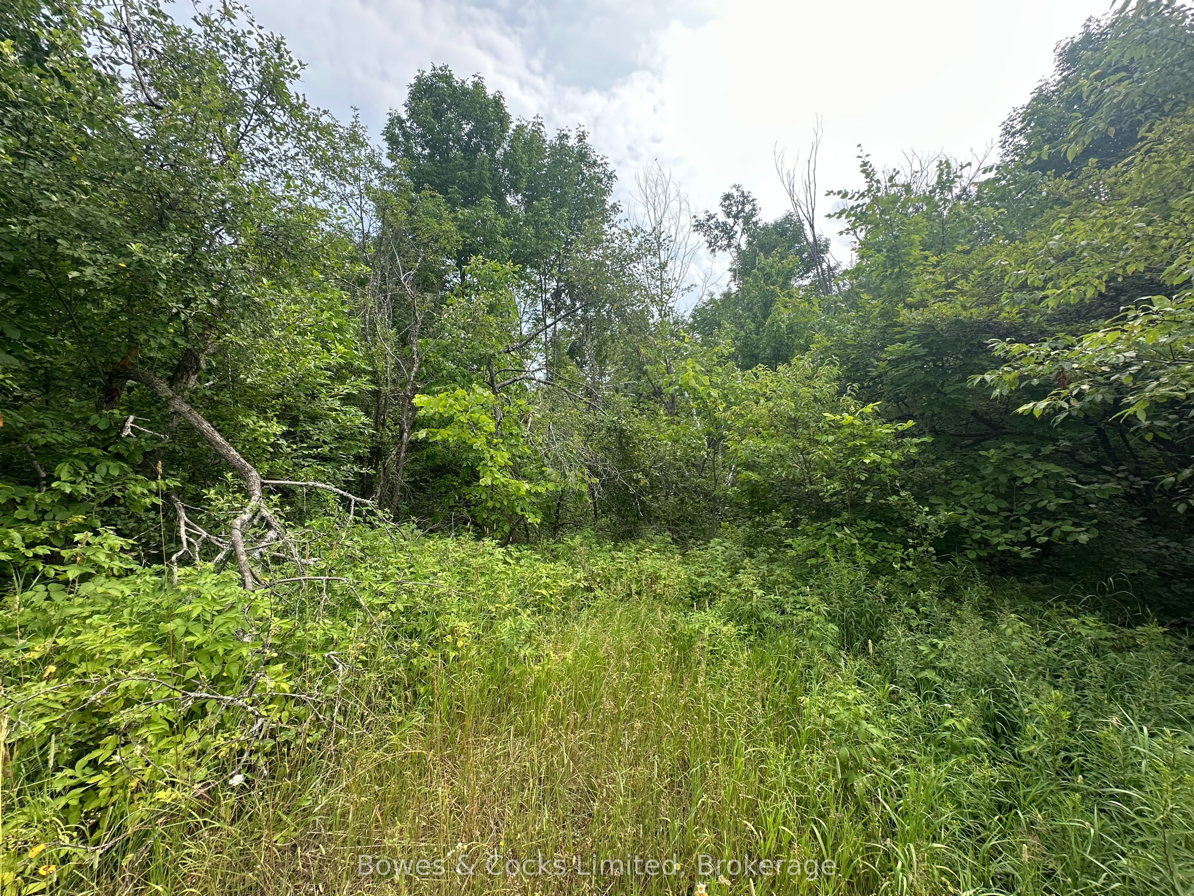 0 Centre Line Road Property Photo 11